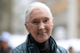 Jane Goodall