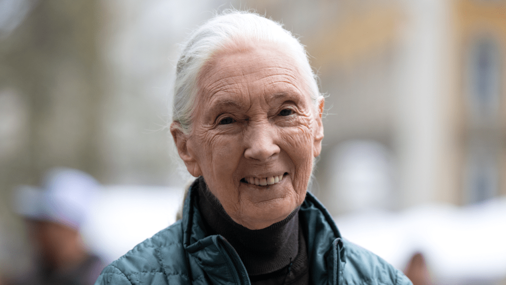 Jane Goodall