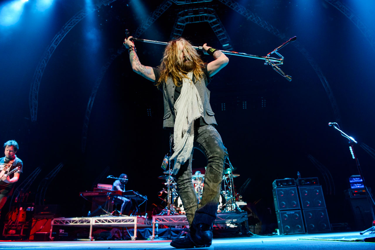 The Dead Daisies