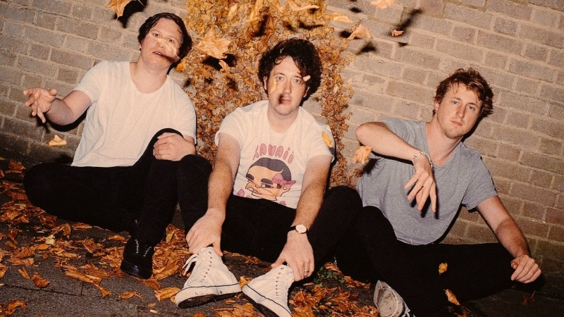 The Wombats