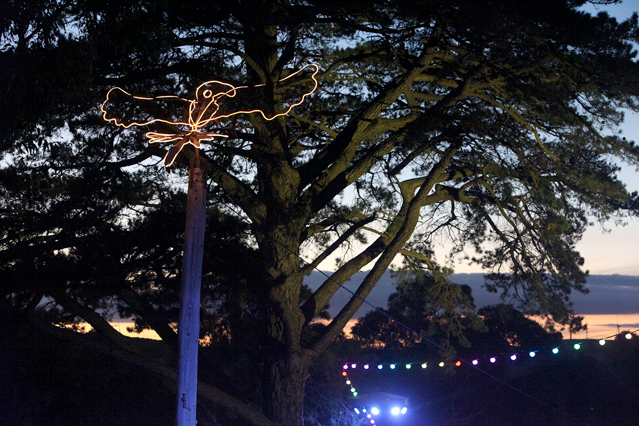 019NickWaterhouseGoldenPlains006