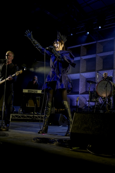 PJ Harvey